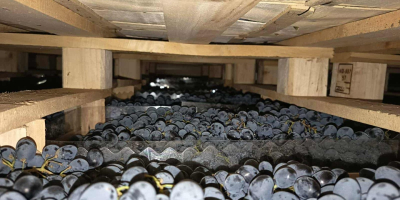 Directamente del productor, conservado en óptimas condiciones en refrigeración