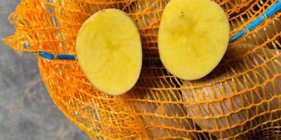 Hola. Vendo patatas muy sabrosas de las variedades Balana