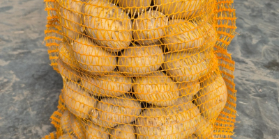 Hola. Vendo patatas muy sabrosas de las variedades Balana