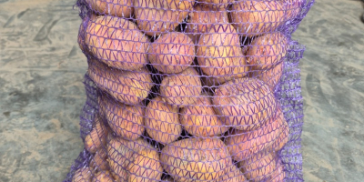 Hola. Vendo patatas muy sabrosas de las variedades Balana