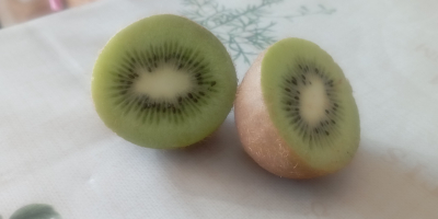 Kiwi verde ecológico, muy dulce , totalmente libre de