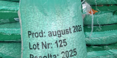 Judías blancas, saco de 10 kg, calidad A, origen