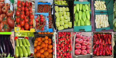 Mandarinas frescas de primera calidad disponibles al por mayor.