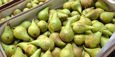 Vendo conferencias clasificadas de 6.5 a 8, medianas de