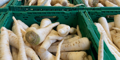 Vendo perejil lavado, varias variedades, posibilidad de transporte, tel.