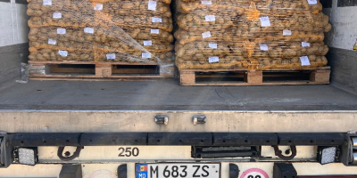 Vendo papas comestibles con análisis fitopatológicos. Cantidades por camión.