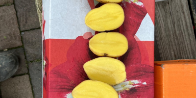 Vendo papas comestibles con análisis fitopatológicos. Cantidades por camión.