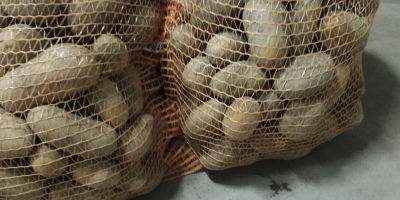 Tengo papas wineta y jolly en venta, las recomiendo