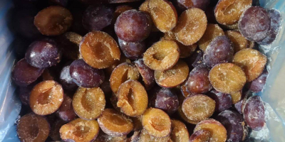 Mitades de ciruelas congeladas IQF para procesamiento industrial y