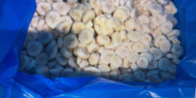 Plátanos congelados en rodajas orgánicas de 10 mm de