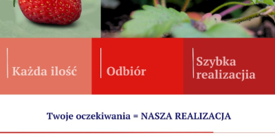 Compraré una fresa.