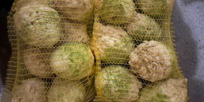 Para cualquier información contactar a Mail: [email address]