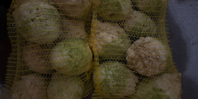 Para cualquier información contactar a Mail: [email address]