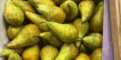 Venderé 6+ 3.5 7+ 4.5 aprox. 120 universales por