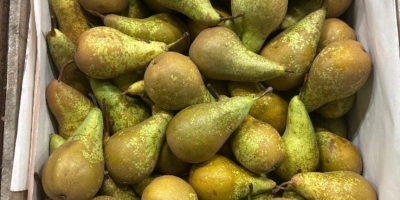 Venderé 6+ 3.5 7+ 4.5 aprox. 120 universales por