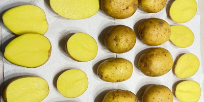 Venderé patatas comestibles de las siguientes variedades: GALA, QUENN
