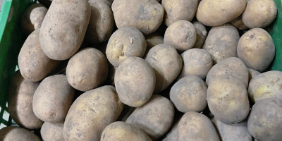 Hola, vendemos papas para comer, lavadas o sin lavar,