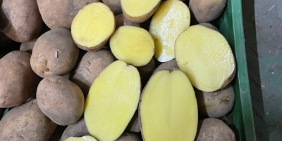 Hola, vendemos papas para comer, lavadas o sin lavar,