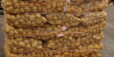 Hola, vendemos papas para comer, lavadas o sin lavar,