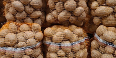 Vendo patatas comestibles Vineta de la finca. El precio