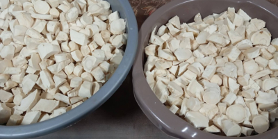 Rábano picante casero en venta en raíces en frascos