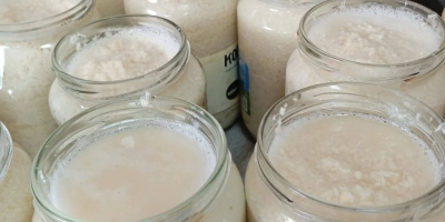 Rábano picante casero en venta en raíces en frascos