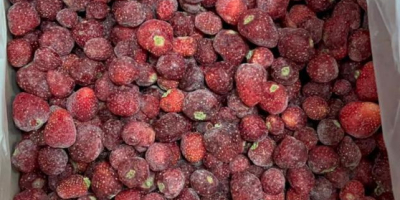 Fresas Congeladas de Kirguistán (IQF). Nuestras fresas congeladas se
