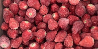 Fresas Congeladas de Kirguistán (IQF). Nuestras fresas congeladas se