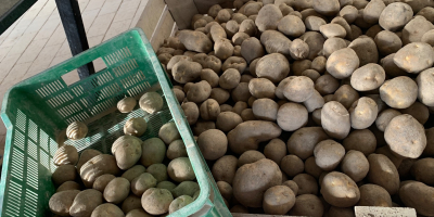 Soy empresario privado y administro una granja en Polonia