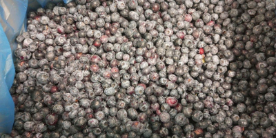 Vendo 40t de refinamiento cultural congelado de la mejor