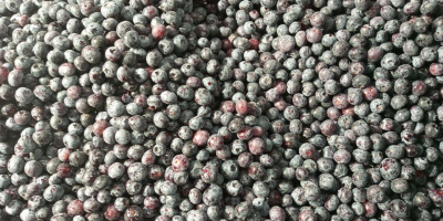 Vendo 40t de refinamiento cultural congelado de la mejor