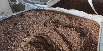 Vendo para grano, tengo para heno. En sacos de