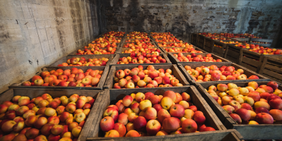 Manzanas Idared a la venta. Pietrari, Dâmbovița. Aproximadamente 5