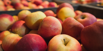 Manzanas Idared a la venta. Pietrari, Dâmbovița. Aproximadamente 5