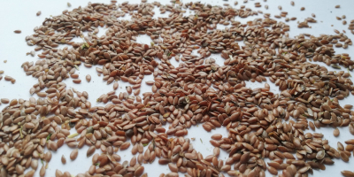 Vendemos lino marrón directamente del fabricante. FCA Kazajistán.