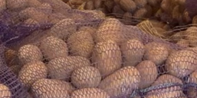 Vendo papas comestibles de las siguientes variedades: Gala, Queen