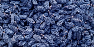 Pasas negras de Uzbekistán, producidas a partir de uvas