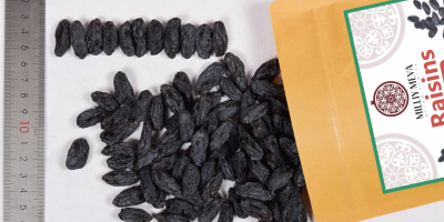 Pasas negras de Uzbekistán, producidas a partir de uvas