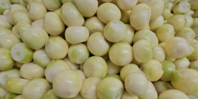 Buenos días. Busco establecer una colaboración a largo plazo