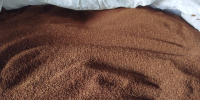 Vendo semillas de onagra, cosecha 2025, semillas secas sin