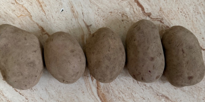 Papas amarillas y rojas Reina Ana Colombo Lili Essme