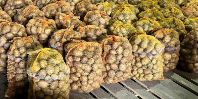 Papas orgánicas a la venta – variedad SORAYA. 50