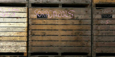 Papas orgánicas a la venta – variedad SORAYA. 50