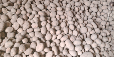 Potatoes fontane , fries and eat potatoes good kwality