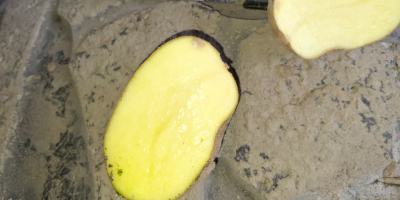 Potatoes fontane , fries and eat potatoes good kwality