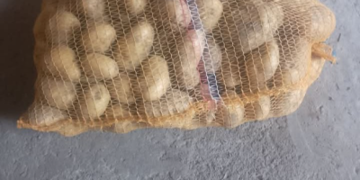 Vendo patatas Denar a 10 PLN la bolsa. Por