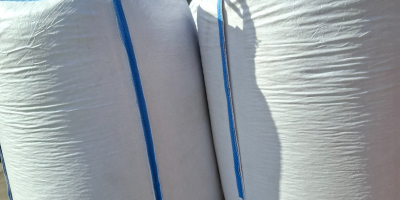 Vendo camiones completos de judías enanas. Envases a su