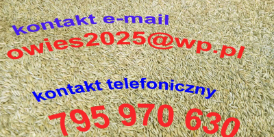 Vendo avena de la cosecha 2025. Tengo unas 15