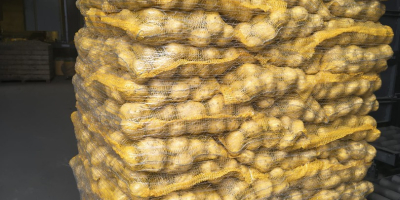 SE VENDEN - Papas con análisis fitosanitario disponibles. Cantidades