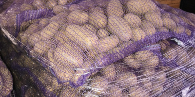 SE VENDEN - Papas con análisis fitosanitario disponibles. Cantidades
